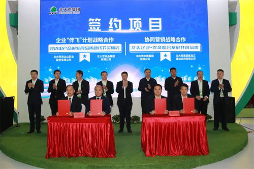 冬日好食光，惠选北大荒——北大荒集团主题营销活动正式启动