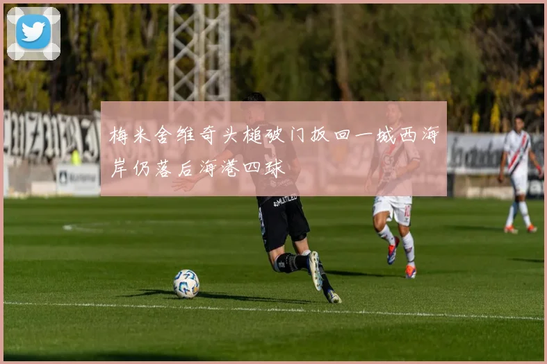 梅米舍维奇头槌破门扳回一城西海岸仍落后海港四球