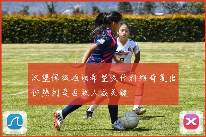 汉堡保级迫切希望武什科维奇复出但热刺是否放人成关键